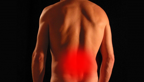 10 Tips for BACK CARE